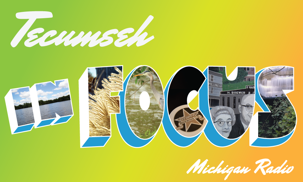 Michigan Radio Features Tecumseh