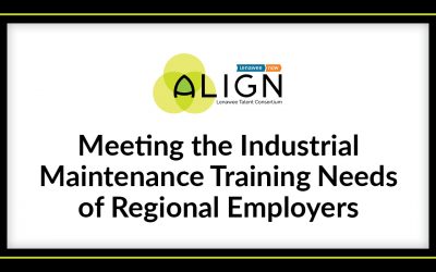 Meeting Training Needs for Industrial Maintenance