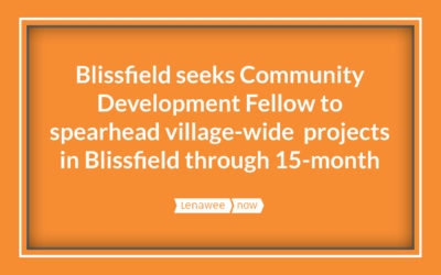 Blissfield seeks Community Development Fellow to spearhead village-wide  projects in Blissfield through 15-month position